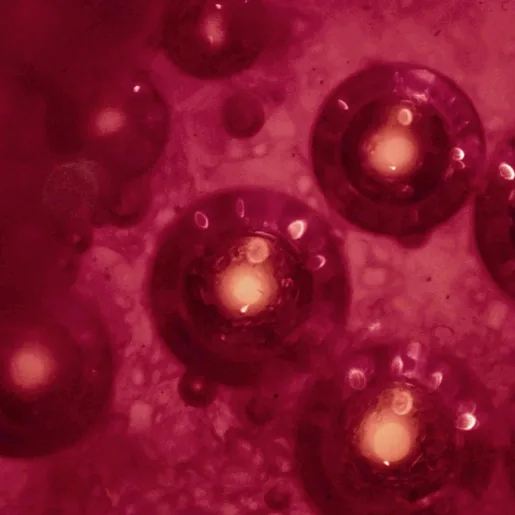 Red blood cells